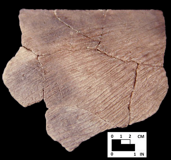 Accokeek cord-marked rim sherd from Piscataway site 18PR7-SI Cat.# 461923-Courtesy of the Smithsonian Institution, Museum of Natural History, Department of Anthropology.