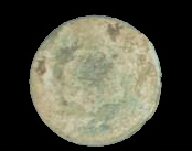 Figure 2 Corroded copper alloy coin.