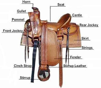 Side views of two saddles with saddle components named.