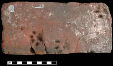 Three cat paw prints on a brick.