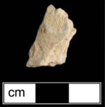 Fingerprints on a small fragment of pink pottery.