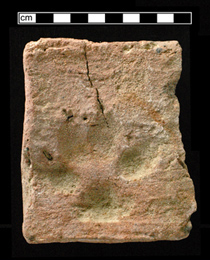 Dog paw print on a brick.