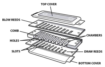 Figure 3 Archaeological harmonica fragments showing heavy corrosion against black background with centimeter scale bar, displaying four deteriorated 
                    metal pieces including rectangular cover plates and comb sections with visible reed slots, alongside one more intact corroded reed plate with mounting holes.