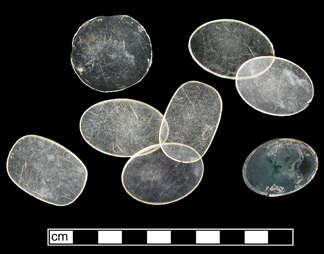 Array of eight eyeglass lenses