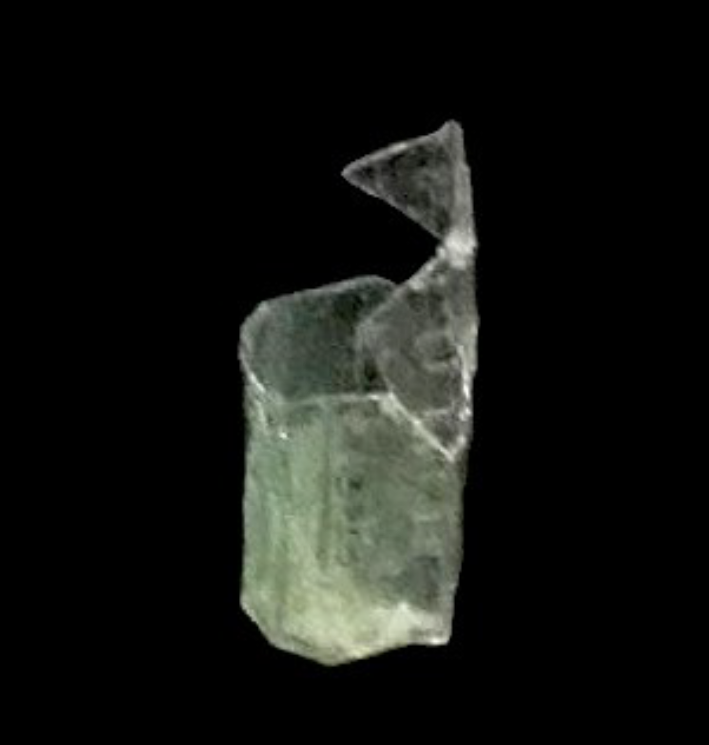 Partially mended fragments of a peppermint oil bottle.