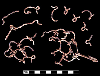 Fragments of linked iron chain from a cilice.