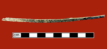 Long narrow piece of whalebone crafted into corset boning.