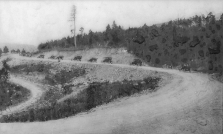 Black and white historical photograph showing a winding dirt road through a sparsely vegetated hillside.