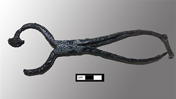 A scissor-like iron object that was used to cut cones of sugar.