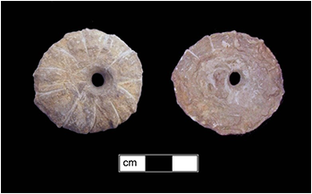Photograph of both sides of a small fossil shell bead.