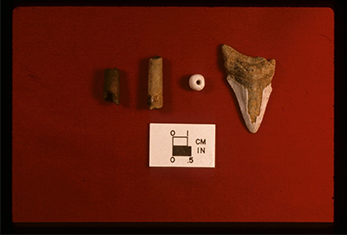 Photograph of a clay bead, a shell bead, and a fossilized shark tooth.