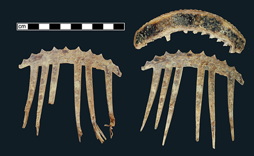 Two images of the same comb with six extant tines. Left image is before treatment showing frayed tines and a dull surface. Right image is after treatment showing a brighter surface and an additional top half of the comb showing a clearer blotchy brown turtle shell pattern.