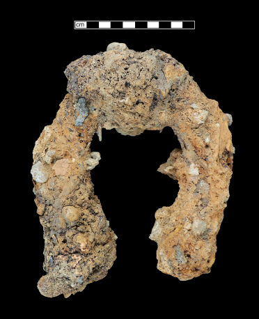 Heavily concreted archaeological horseshoe. 