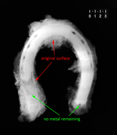 X-ray of a horseshoe.