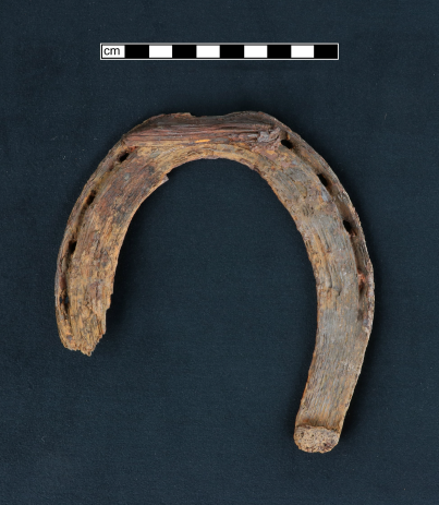 Deteriorated iron horseshoe.