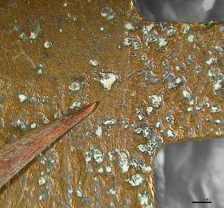 Figure 5 A magnified brown copper alloy surface with rough unevenly shaped divots filled with a
disfiguring white powder. A magnified thorn tip in the magnified frame comes to a very
sharp point that is smaller than the diameter of many divots.
