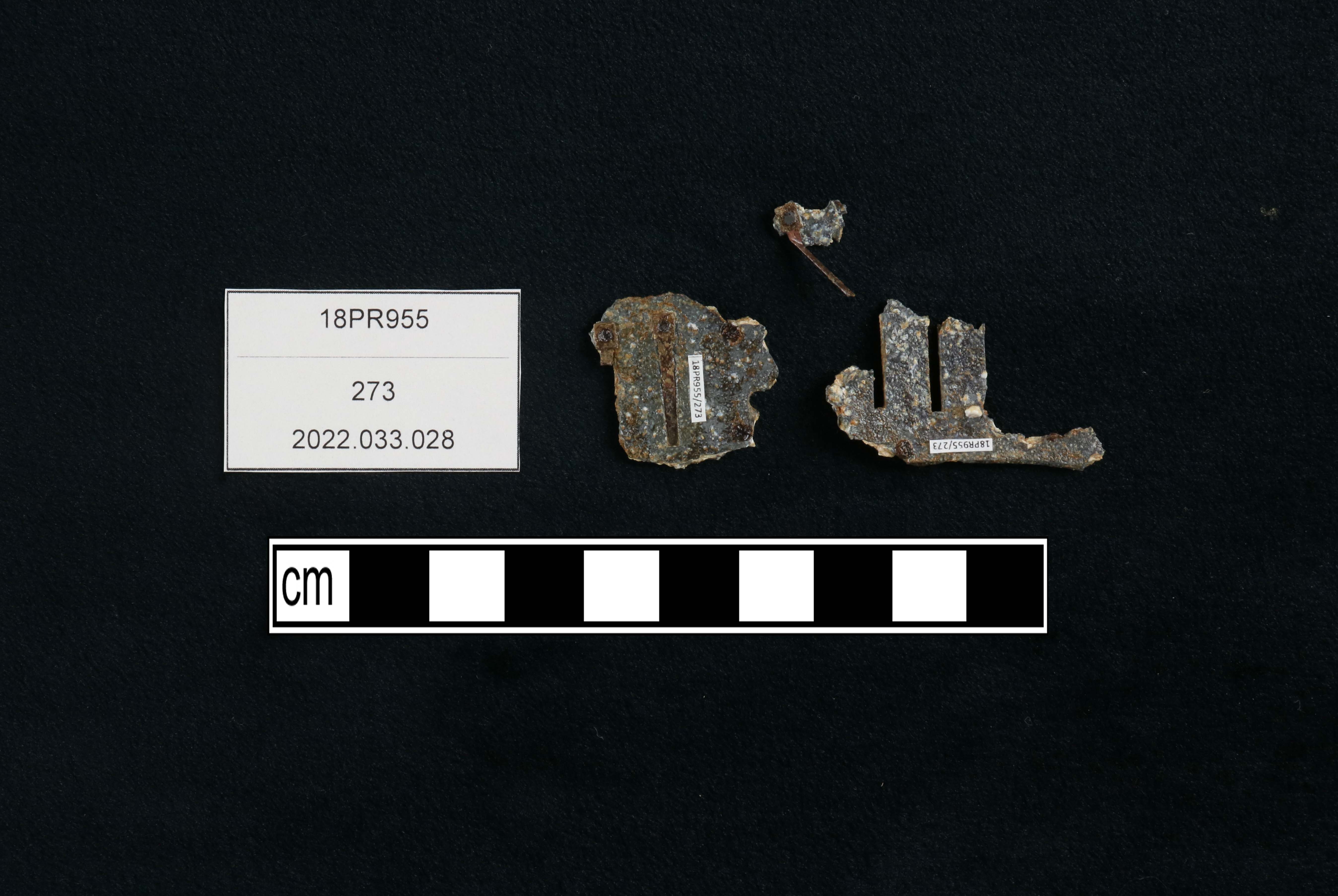 Fragments of a harmonica reed plate with a rough corroded aluminum surface.