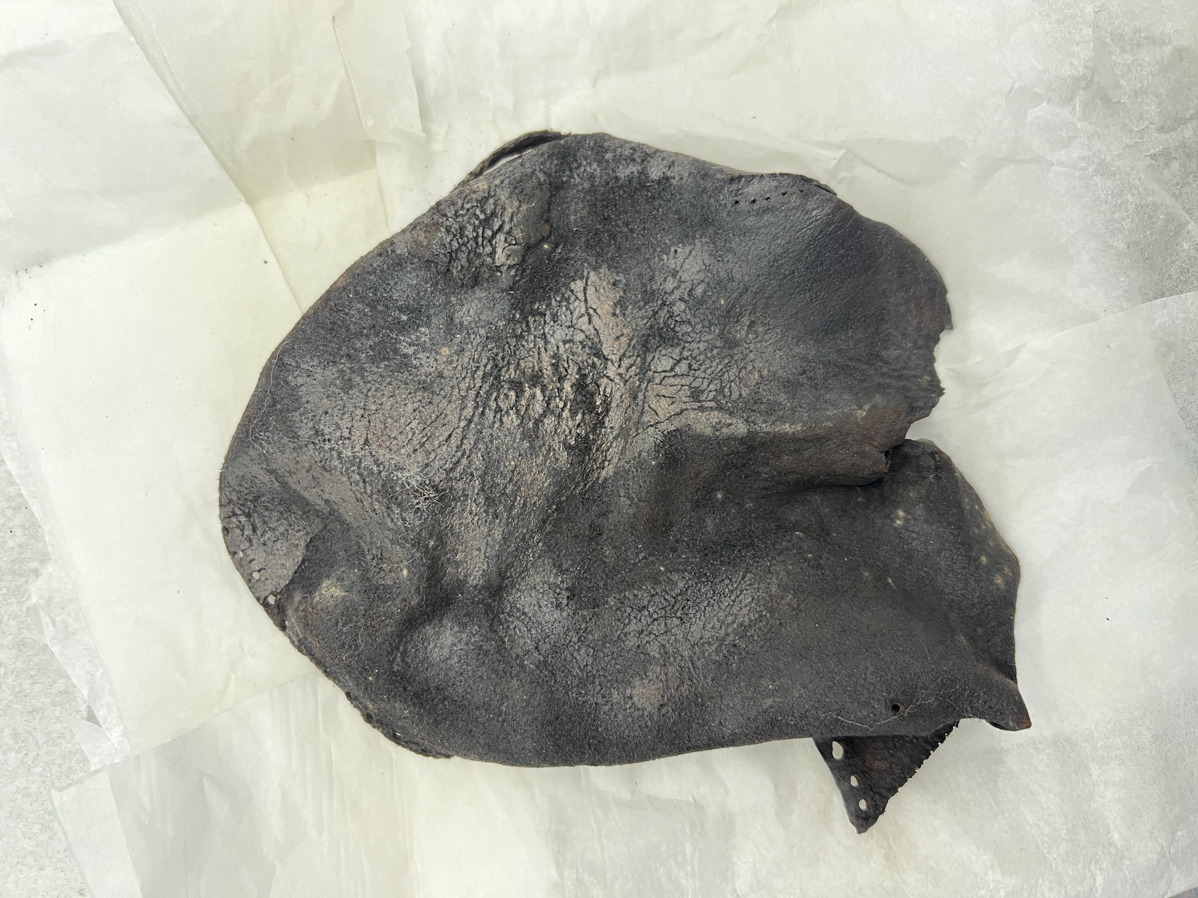 Figure 1 A dark brown leather artifact in an unidentifiable shape with a disfiguring coating that
exaggerates the leather surface texture. The object sits on a yellowed piece of packing
tissue.