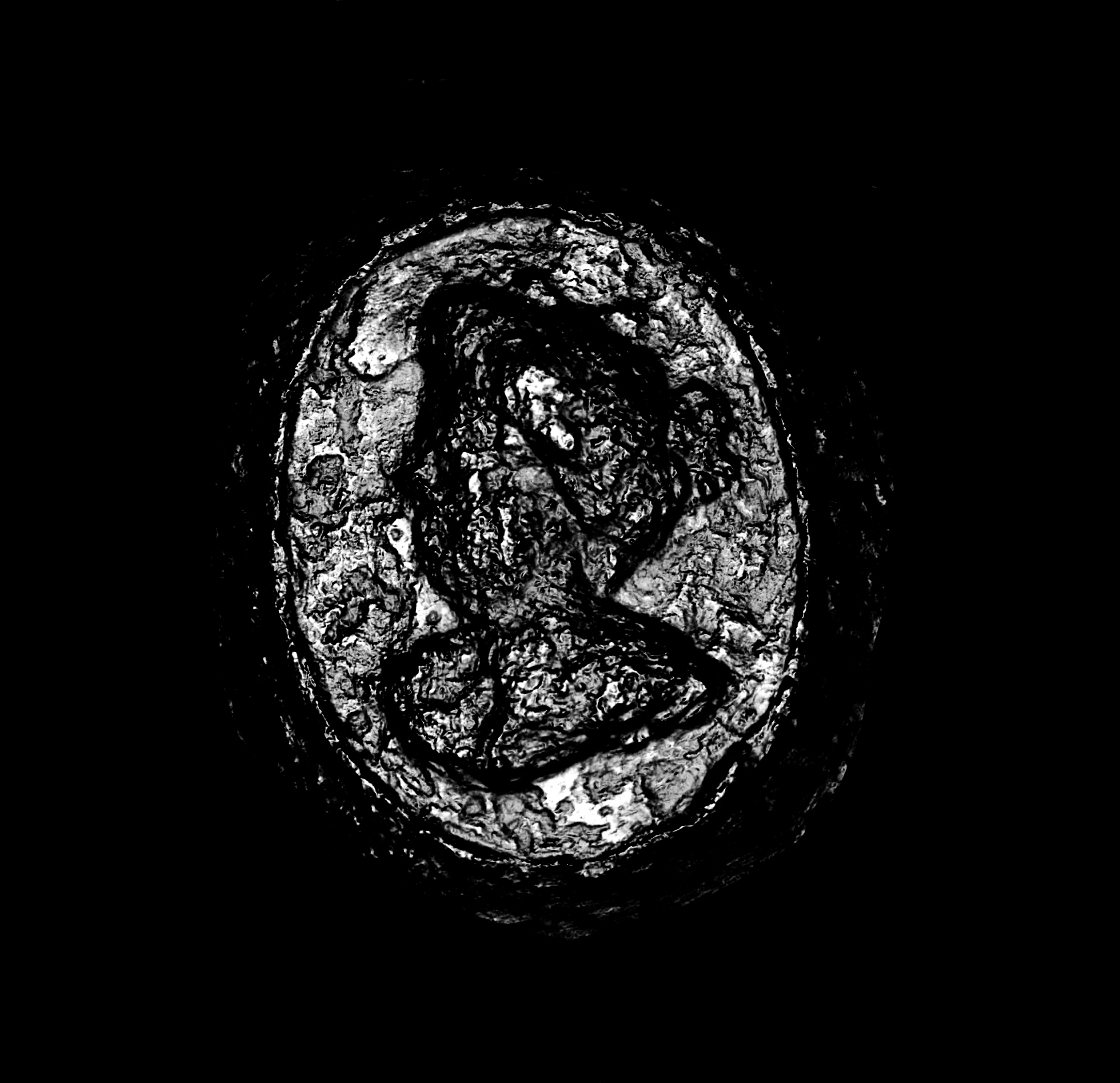 Black and white high contrast image defining the shape of a woman’s profile with a poofy hairstyle.