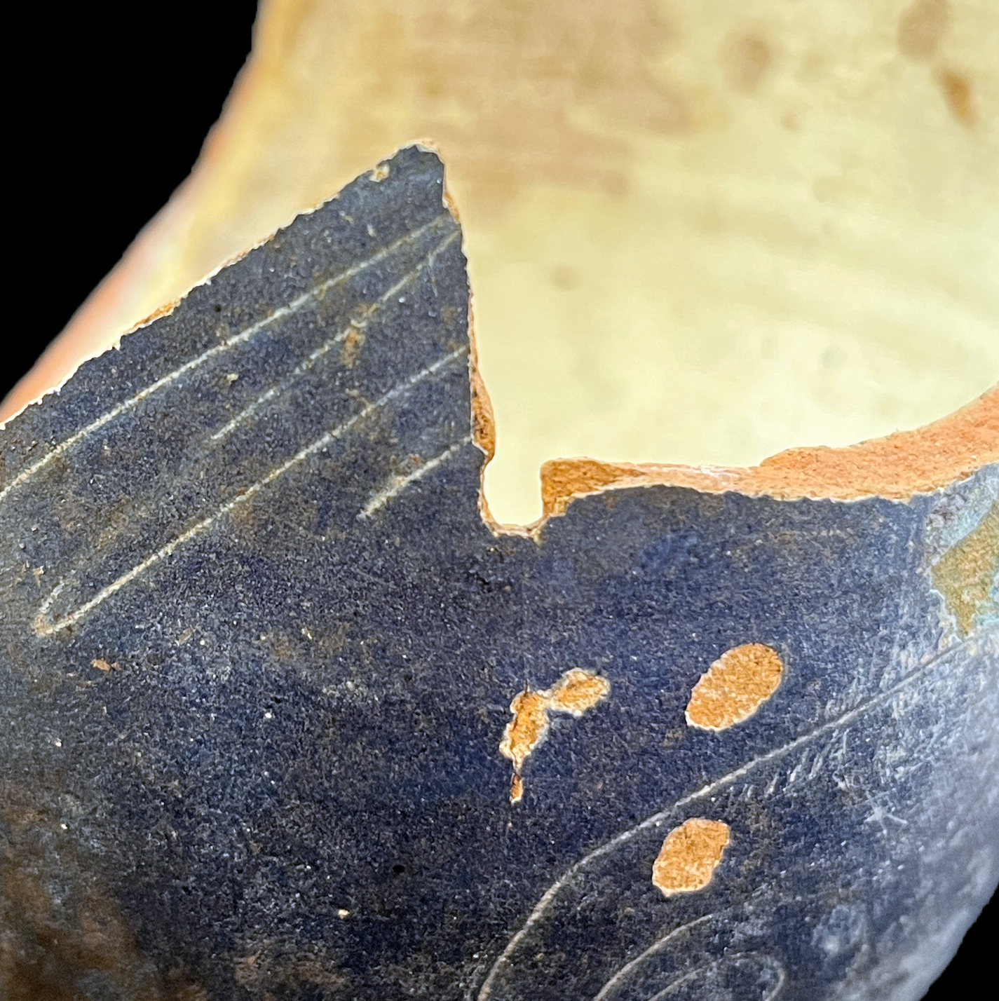 Detail shot showing the side of the bottle pierced by a small hole where someone shot the bottle with bird shot.