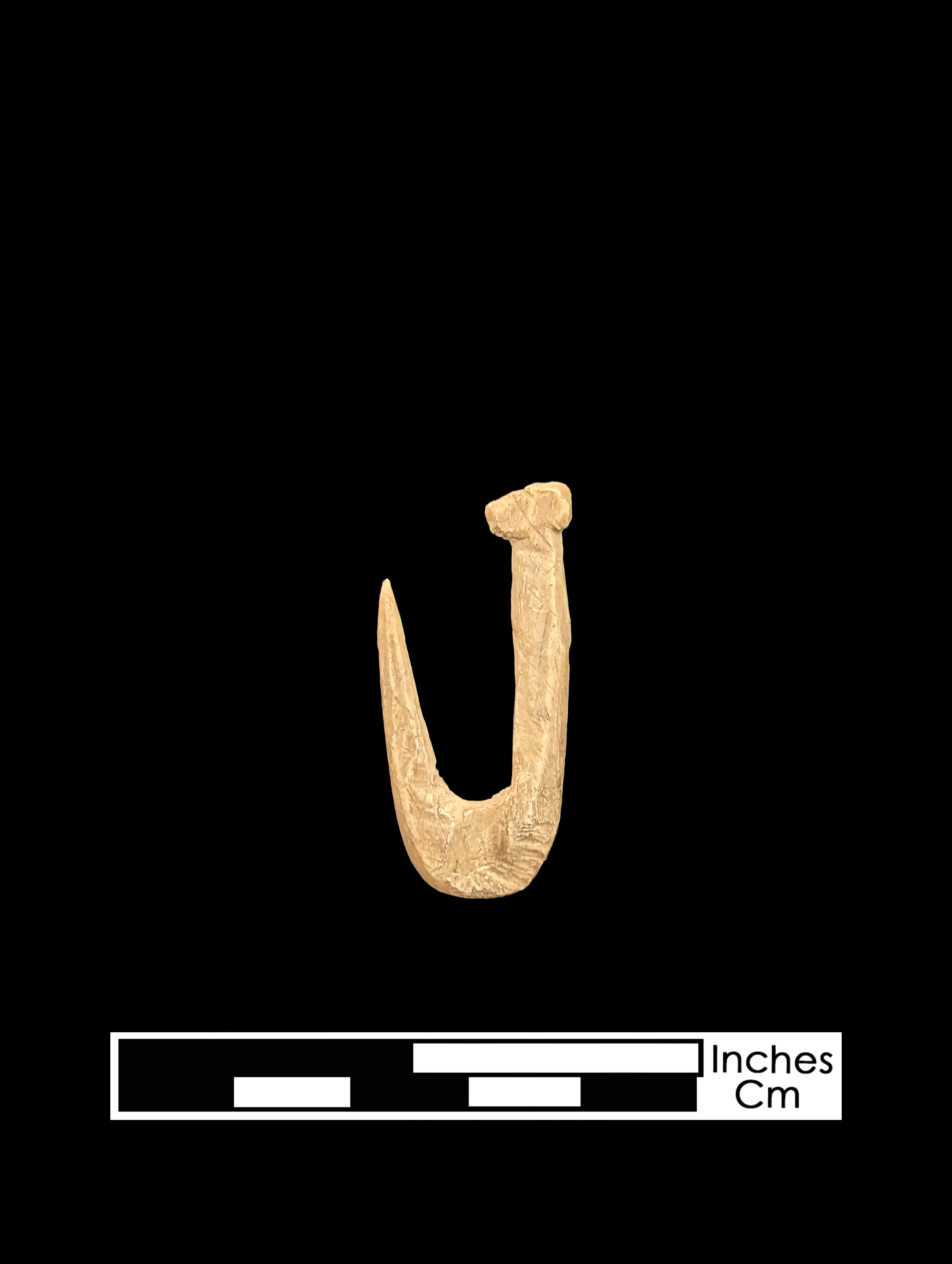 Small crude curved bone fishhook on a black background, with a digital scale at bottom of image.