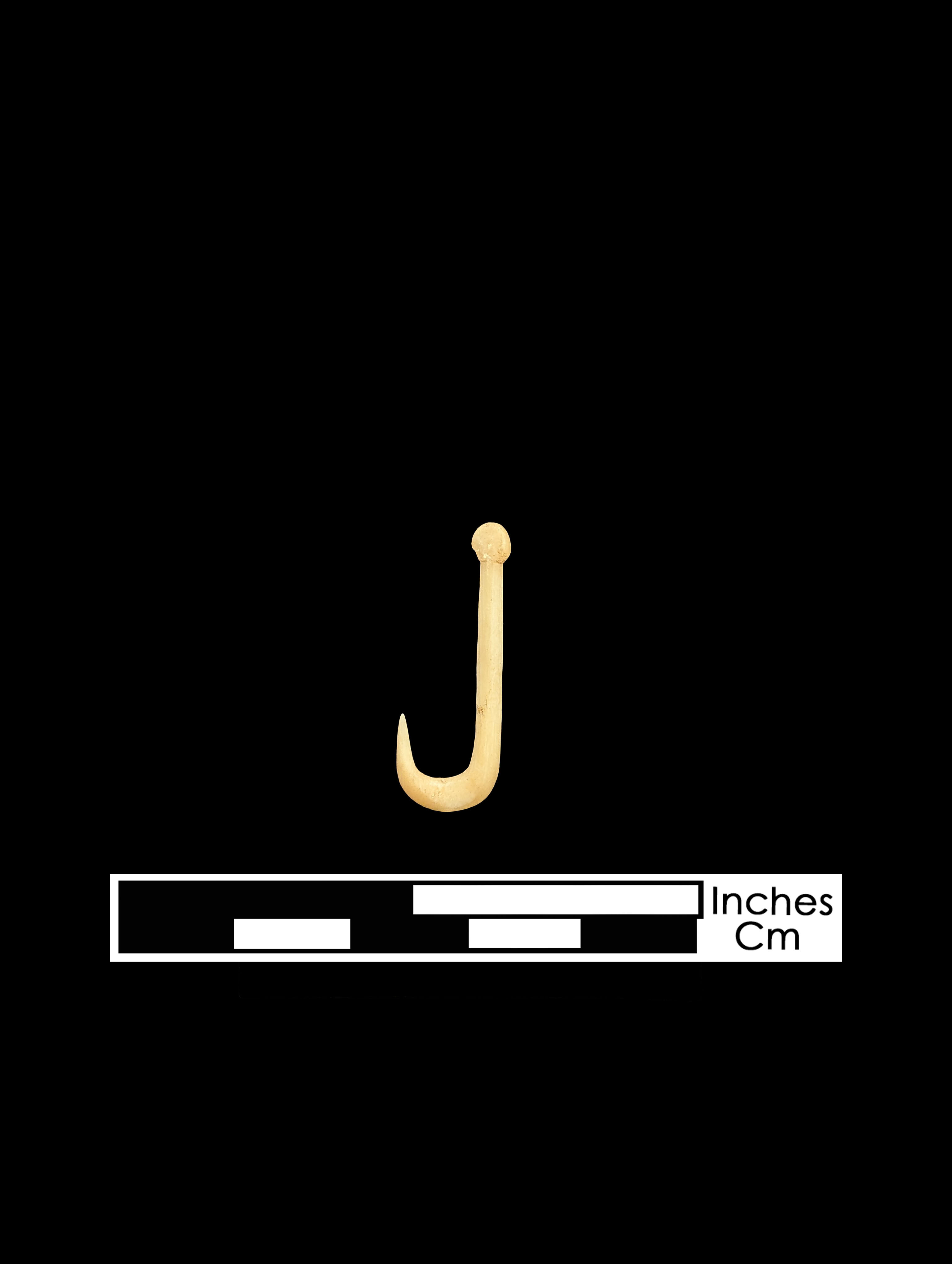 Small finely carved bone fishhook on a black background, with a digital scale at bottom of image.