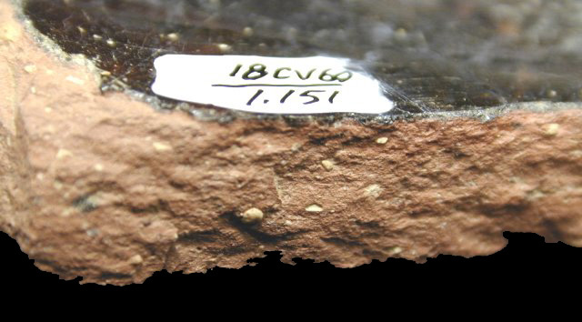 Buckley-type sherd profile showing dots of yellow or white colored clay in the red paste from the Angelica Knolls site 18CV60/1.151.