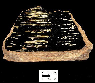 Interior of a Buckley-type base sherd (left) and profile (right), from the Oxon Hill site 18PR175-vessel# 6477.