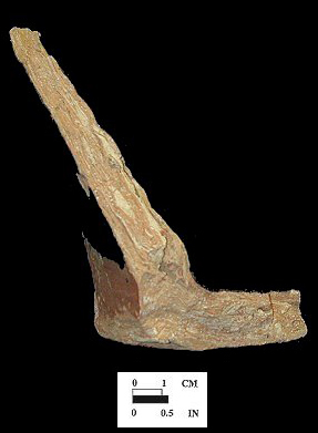 Interior of a Buckley-type base sherd (left) and profile (right), from the Oxon Hill site 18PR175-vessel# 6477.