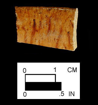 Manganese Mottled rim sherd of a hollow vessel from Angelica Knolls site 18CV60. 