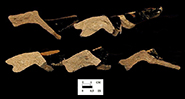 Milk pan rim profiles from the Oxon Hill site, 18PR175, in the Area I Well&nbsp;(ca. 1710 - 1750).