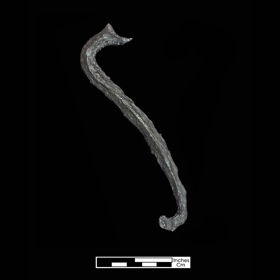 Image of iron curb bit.