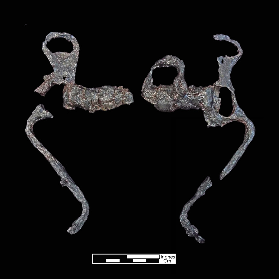 Image of iron curb bit.