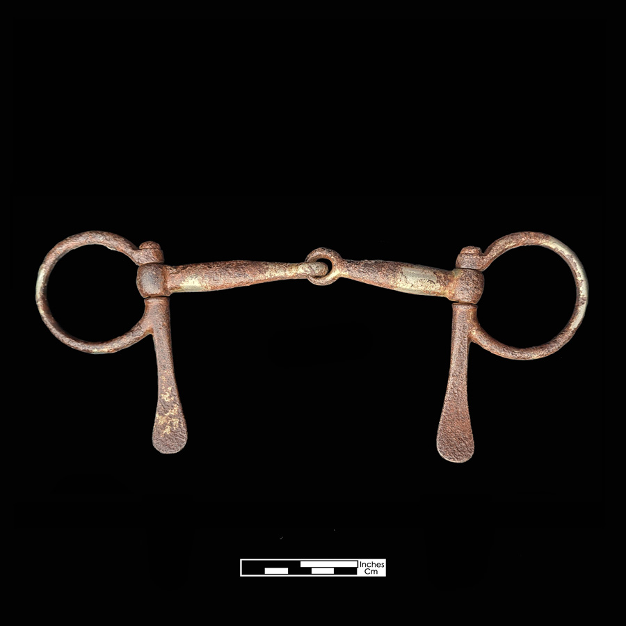 Image of snaffle bit.