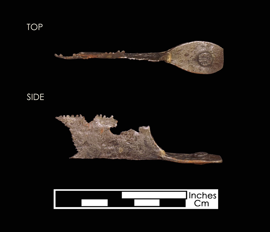 Image of iron curry comb.