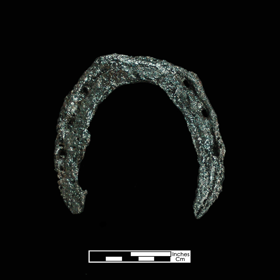 Image of iron horseshoe.