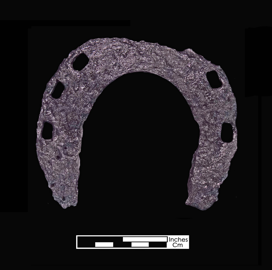 Image of iron horseshoe.
