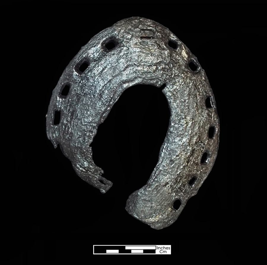 Image of iron horseshoe.