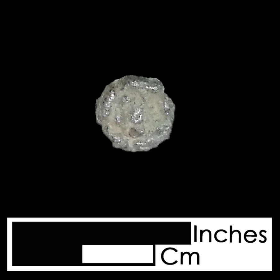 Image of copper alloy leather ornament, Tudor Rose.