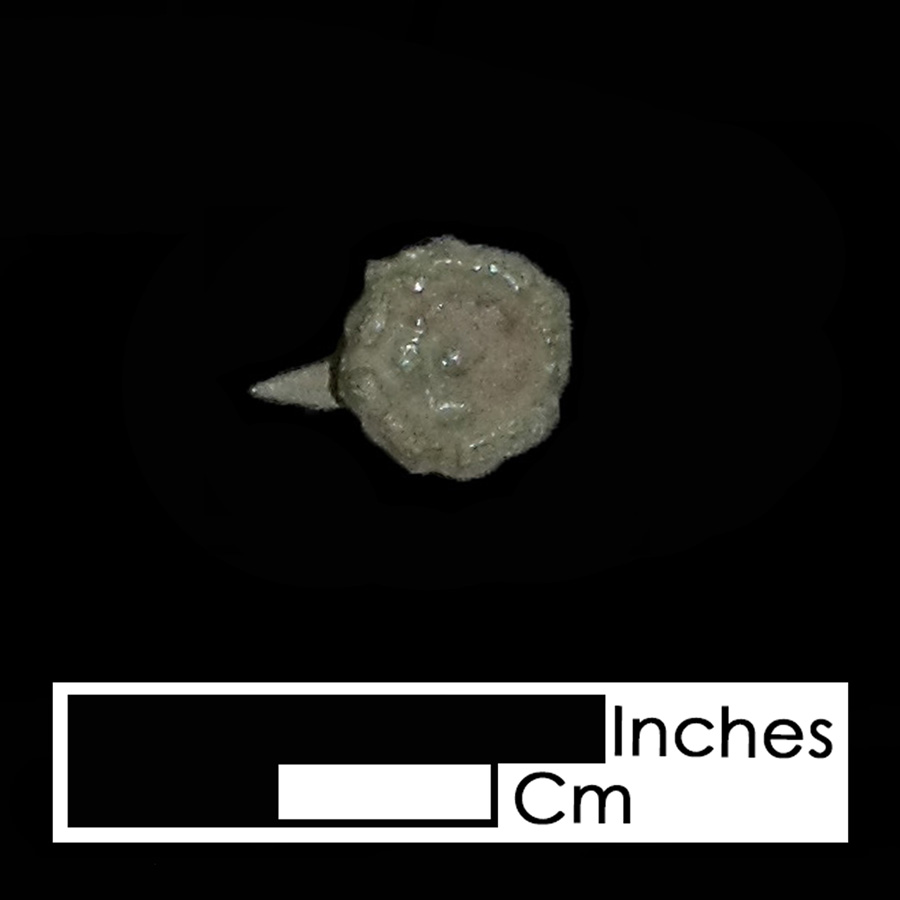 Image of copper alloy leather ornament, Tudor Rose.
