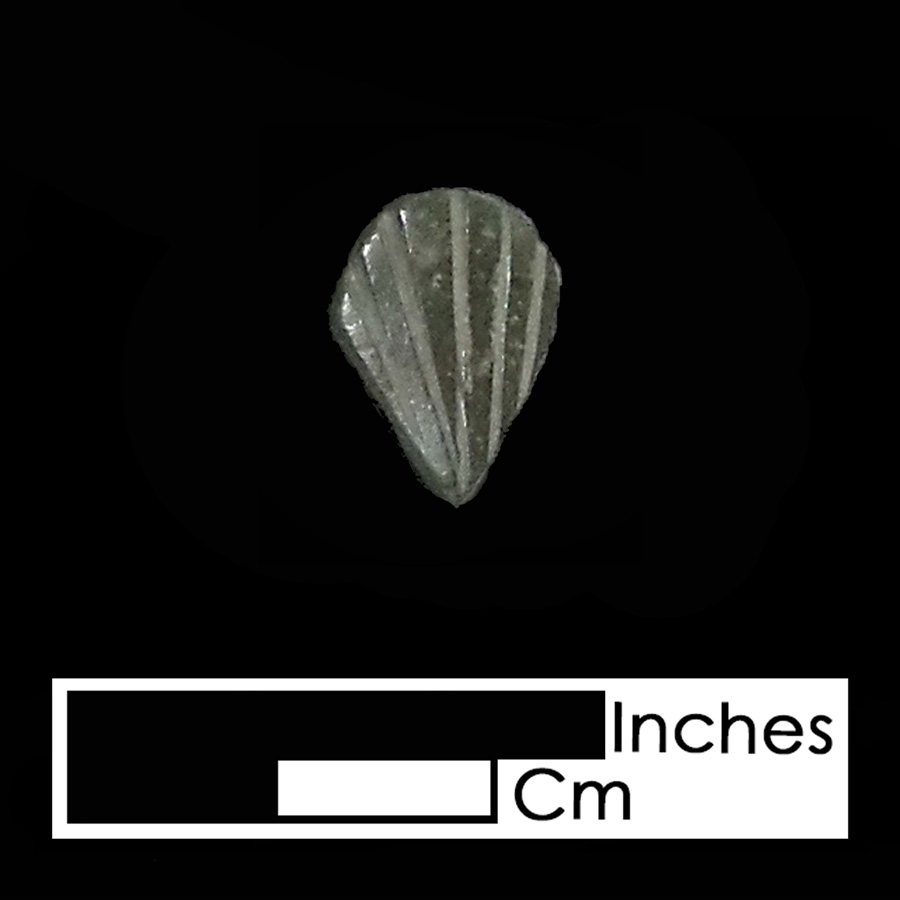 Image of copper alloy leather ornament, Small Shell.