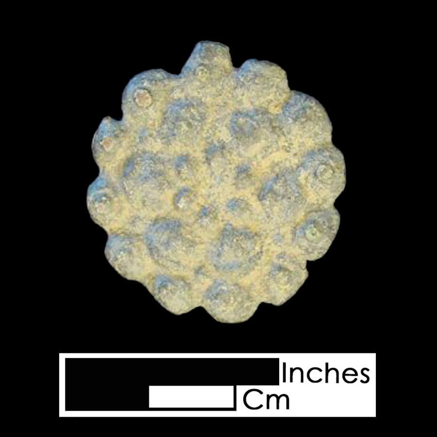 Image of copper alloy leather ornament, Tudor Rose.