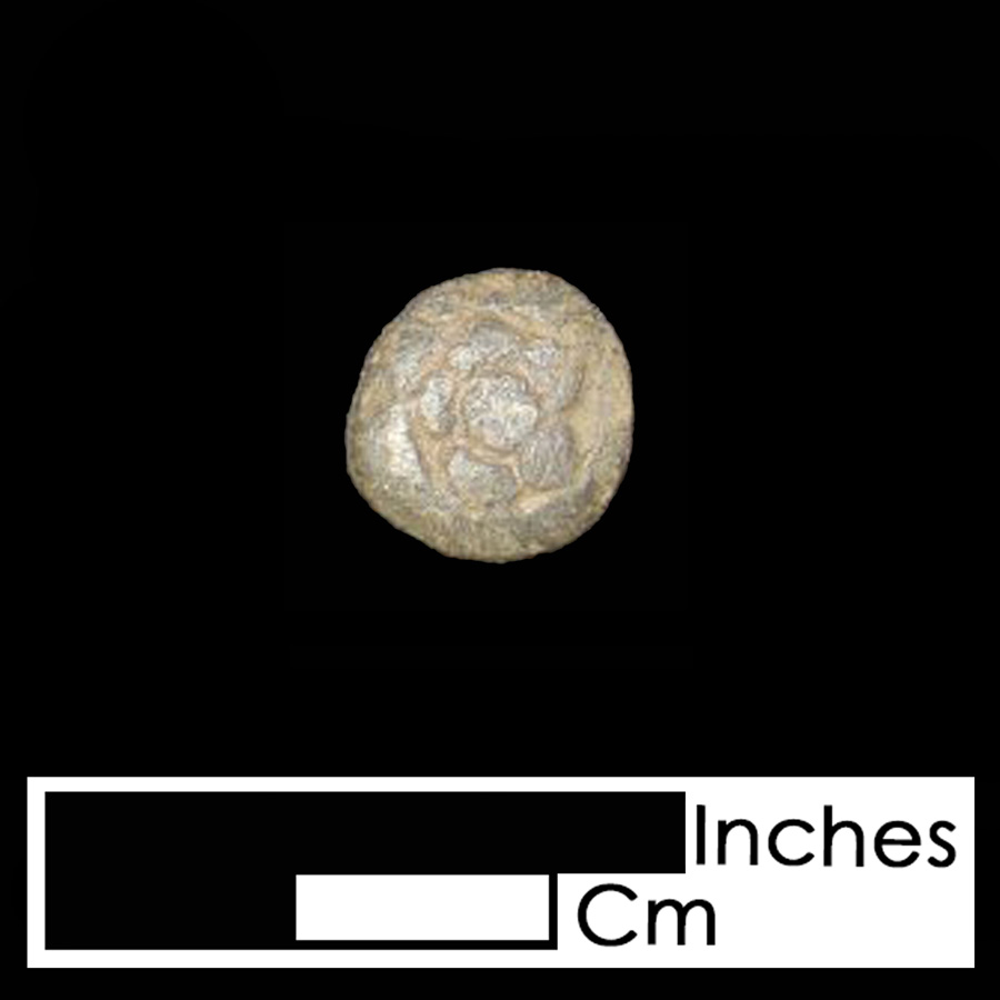 Image of copper alloy leather ornament, Tudor Rose.