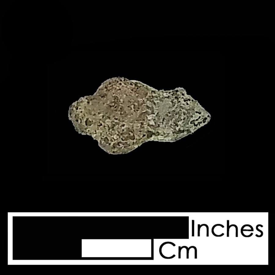 Image of copper alloy leather ornament, Trifid Bleeding Heart.