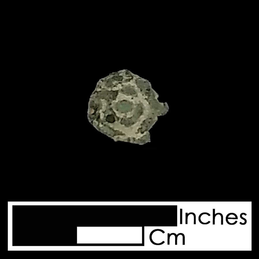 Image of copper alloy leather ornament, Tudor Rose.