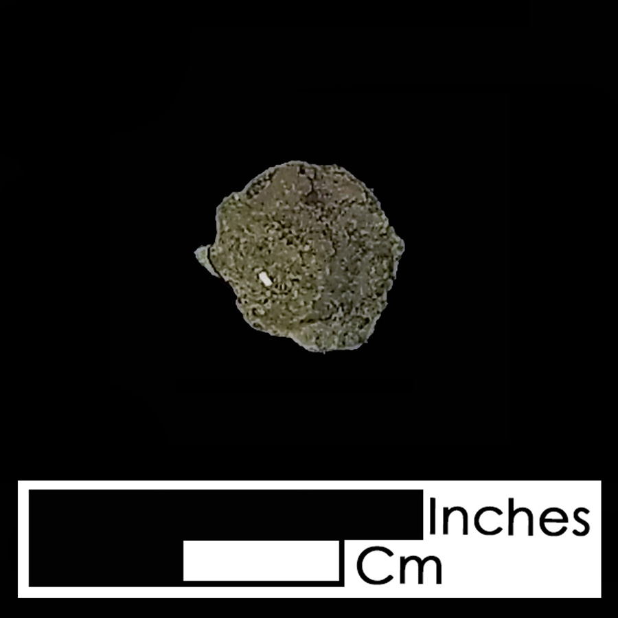 Image of copper alloy leather ornament, Tudor Rose.