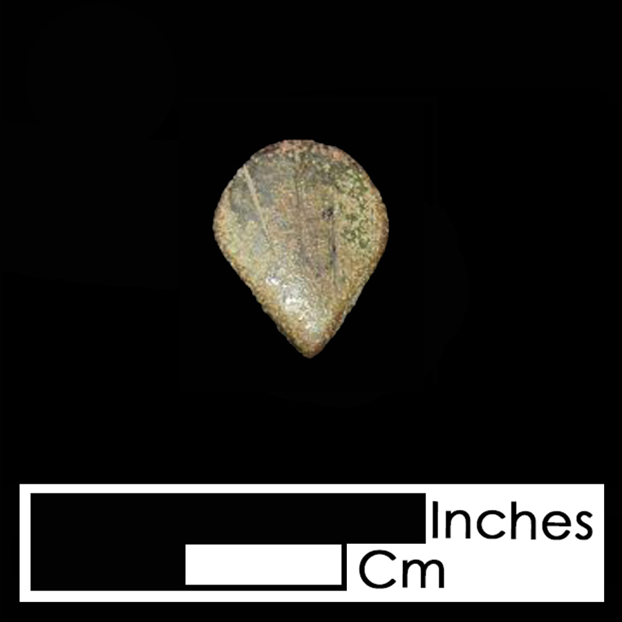 Image of copper alloy leather ornament, Shell.
