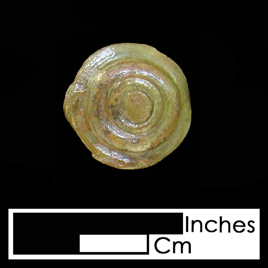 Image of copper alloy leather ornament, Dome with Nipple, Dome with Concentric.