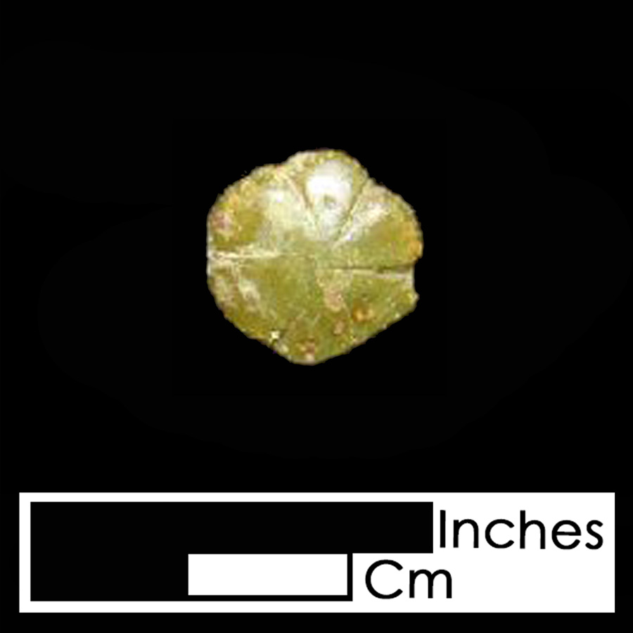 Image of copper alloy leather ornament, Sexfoil.