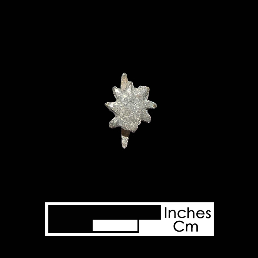 Image of tinned copper alloy or white metal leather ornament.